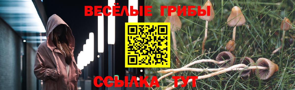 Псилоцибиновые грибы Psilocybine cubensis  Вход с VPN  цены   Курск 